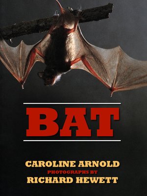 cover image of Bat